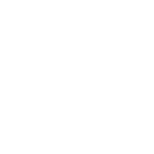 vinyl icon white
